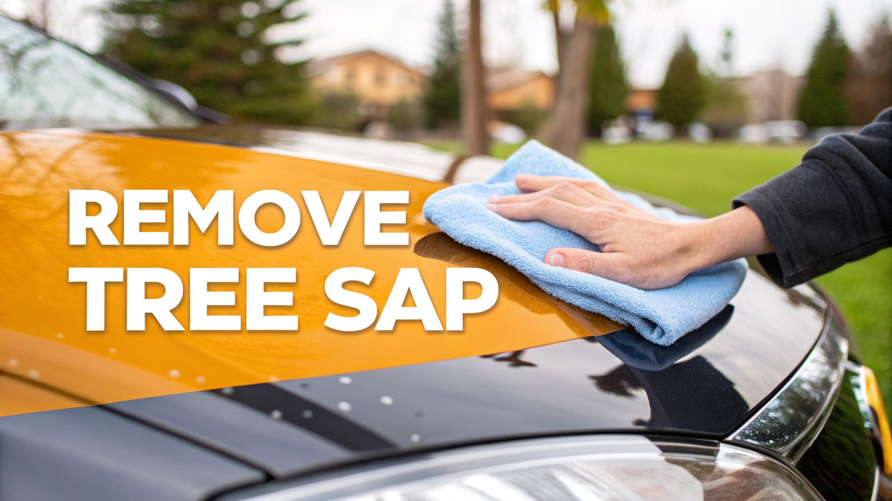 How to Remove Tree Sap From Car Paint Without Damage