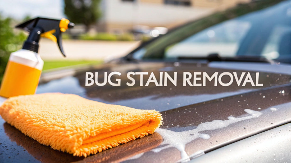 How to Remove Bug Stains from Car: Quick, Safe Cleaning Tips