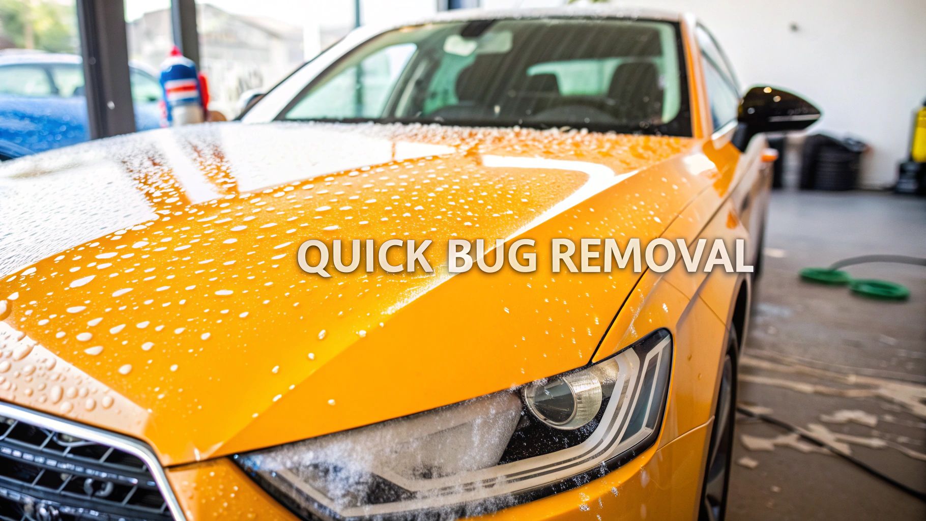 how to remove bugs from car: Quick Cleaning Tips
